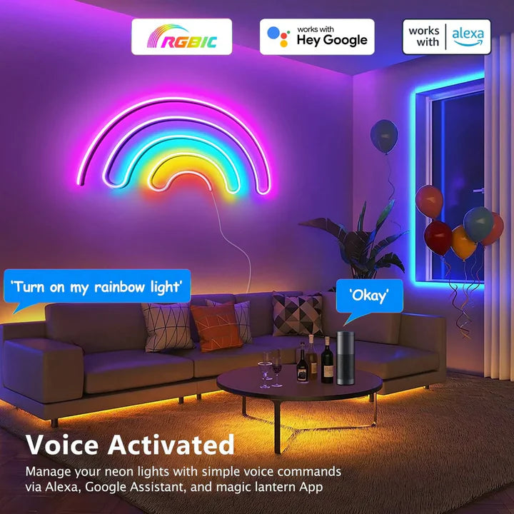 Ruban LED Néon Intelligent RGBIC Étanche